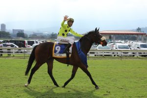 Mighty High (Candiese Marnewick)