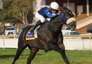 Boeing City (Candiese Marnewick)