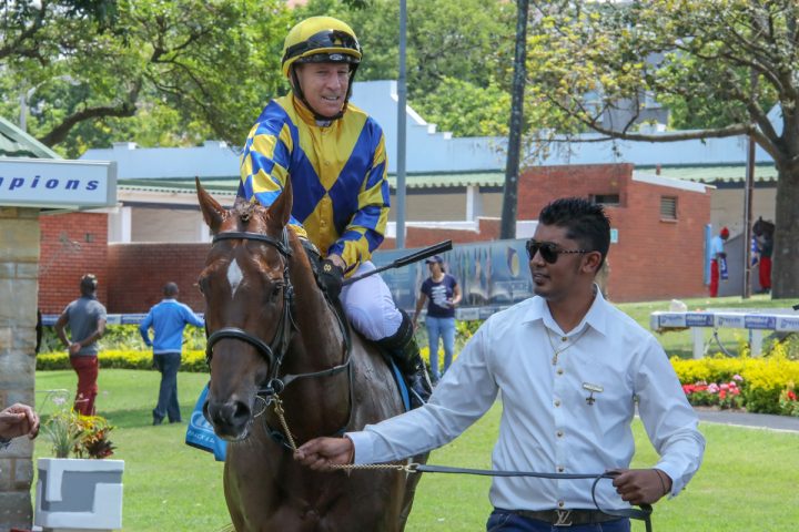 Buckleberry (Candiese Marnewick)