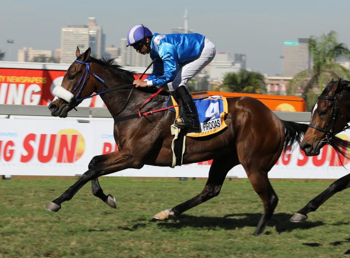 Firdoas (Candiese Marnewick)