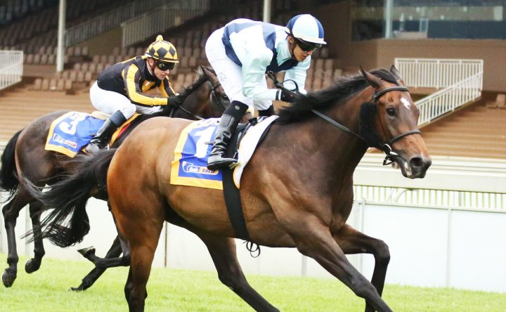 Obvious Child (Candiese Marnewick)