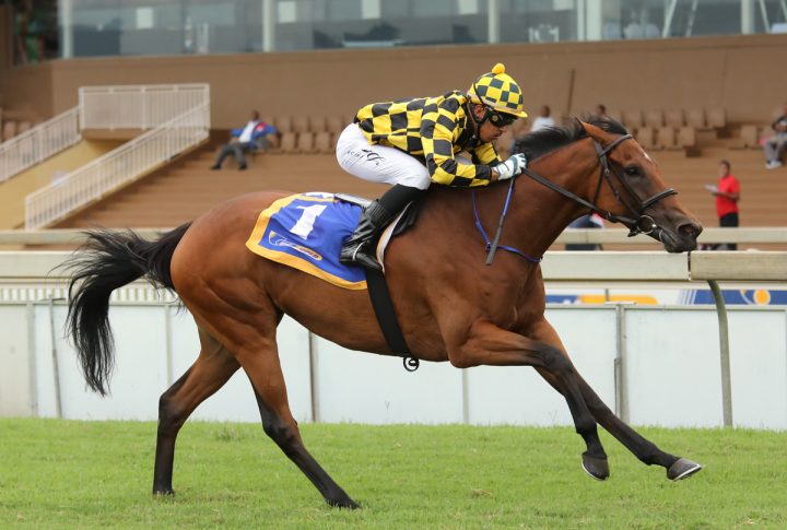 Silver Prancer (Candiese Marnewick)