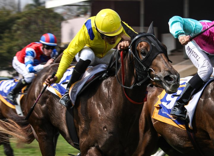 Solid Gold (Candiese Marnewick)