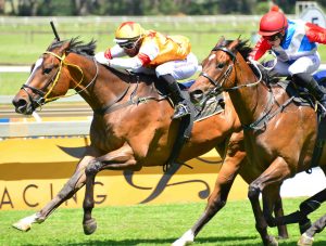 State Trooper (JC Photographics)