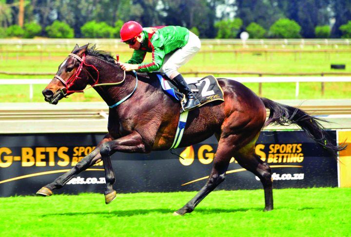 Captain Of Tortuga (JC Photographics)