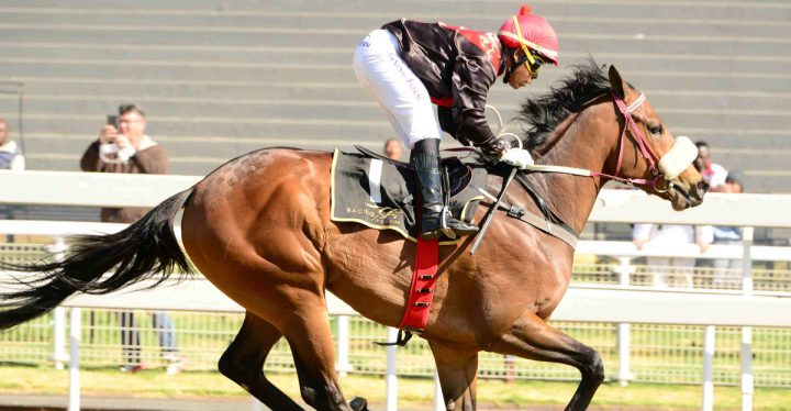 Dewali (JC Photographics)