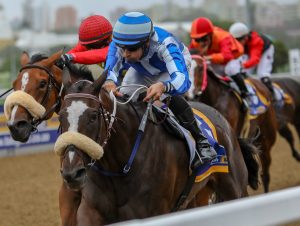 Komeshan's Flight (Candiese Marnewick)