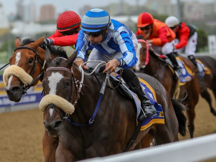 Komeshan's Flight (Candiese Marnewick)