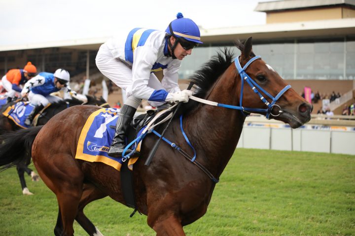 Marchingontogether (Candiese Marnewick)