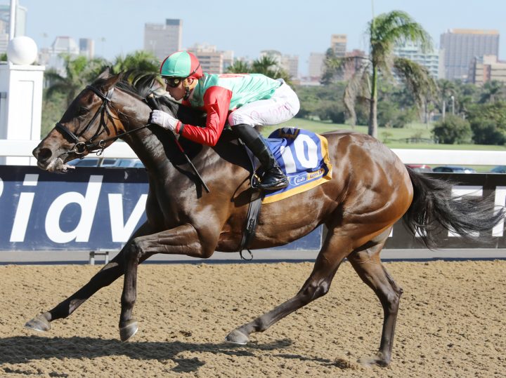 Sea Venture (Candiese Marnewick)