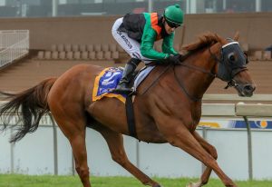 Tribal Fusion (Candiese Marnewick)