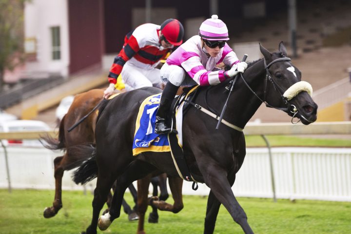 Va La Ree (Candiese Marnewick)