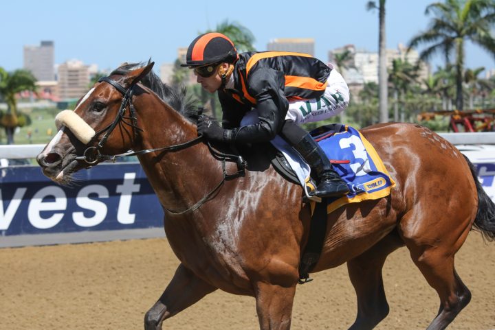 African Angel (Candiese Marnewick)