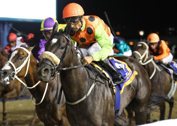 Beat It (Candiese Marnewick)