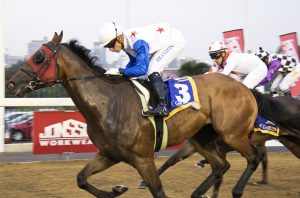 Bedazzled Joker (Candiese Marnewick)