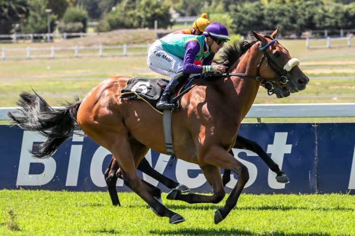 Crome Yellow (Liesl King)