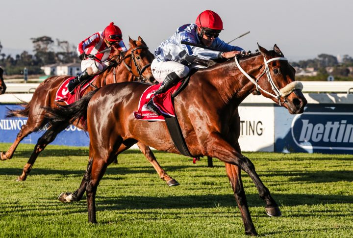 Fresnaye (Liesl King)