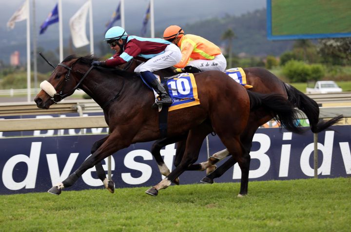 Kingsmead (Nkosi Hlophe)