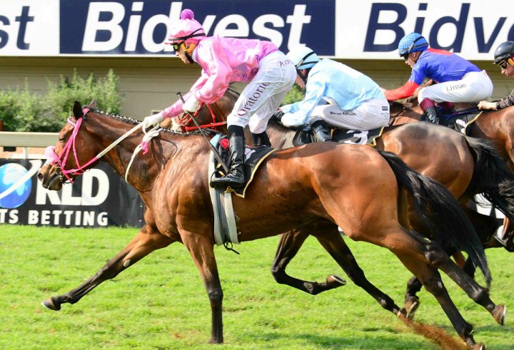 Perfect Tigress (JC Photographics)