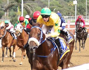 Podcast (Candiese Marnewick)