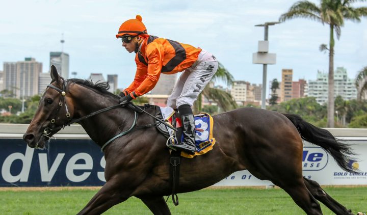 Rocky Night (Candiese Marnewick)