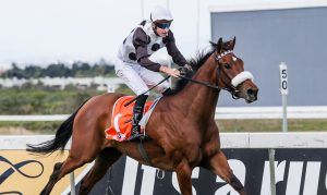 Snowdance (Liesl King)