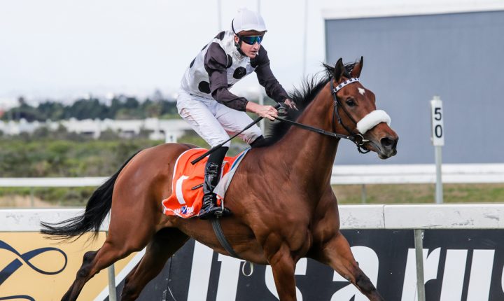 Snowdance (Liesl King)