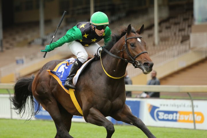 Cartel Captain (Taryn Crawford)