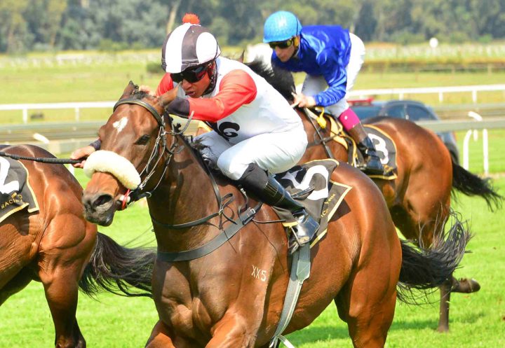 Deerupt (JC Photographics)