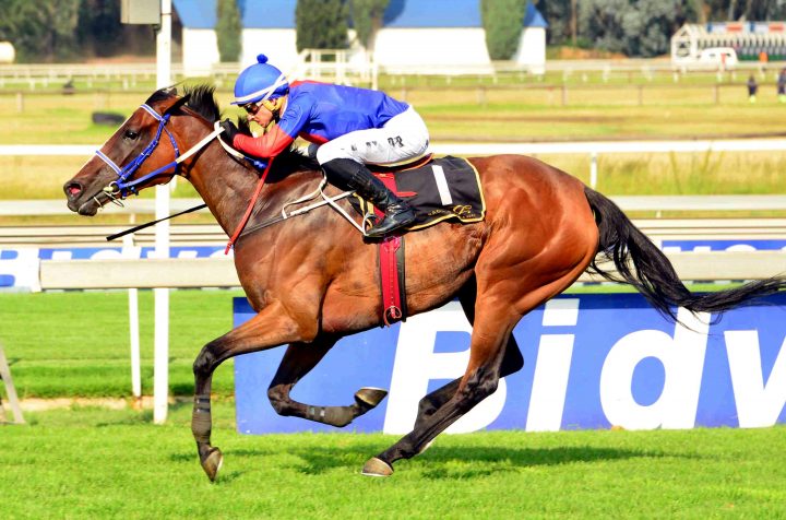 Forest Express (JC Photographics)