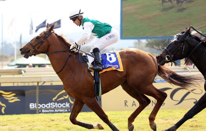 Life Is Good (Nkosi Hlophe)