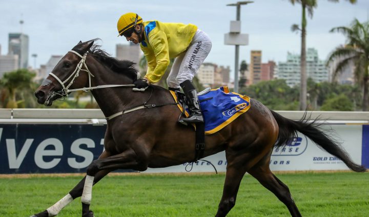 Moon In June (Candiese Marnewick)