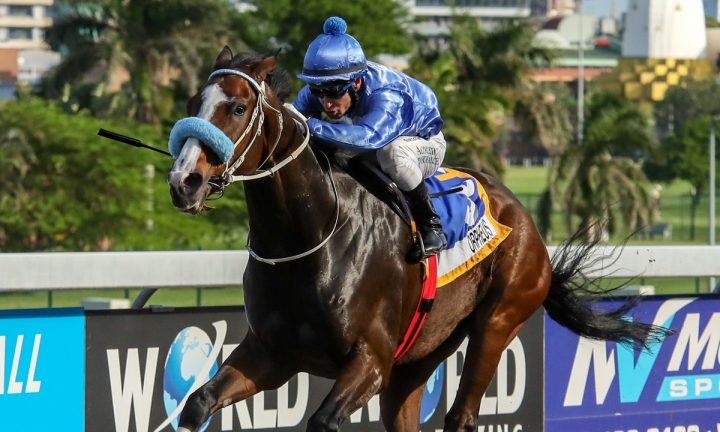 Orpheus (Candiese Marnewick)