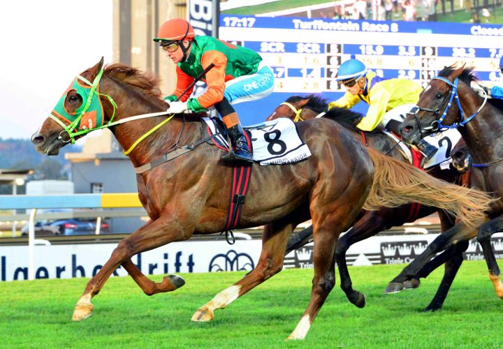 Samurai Warrior (JC Photographics)