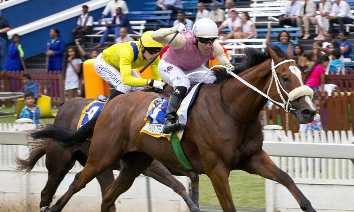 Tristful (Anneke Kitching)