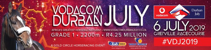 VDJ19MediaHeader