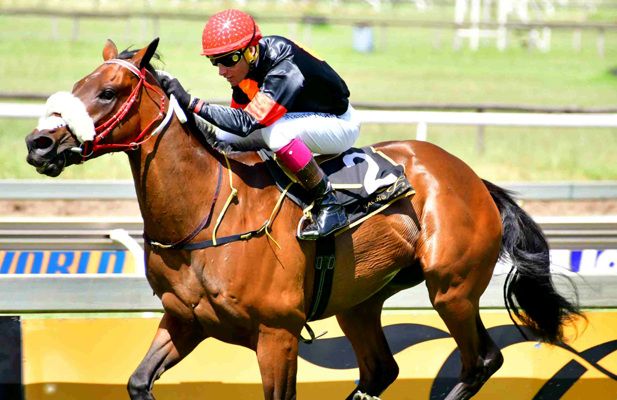 Eightfolds Lass to measure up Gold Circle Horse Racing And Betting