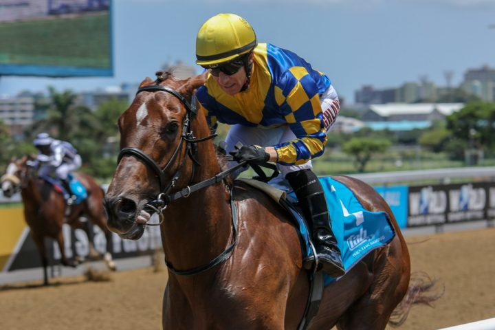 Buckleberry (Candiese Marnewick)