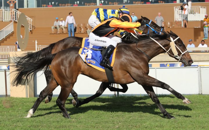 Connect Me (Candiese Marnewick)