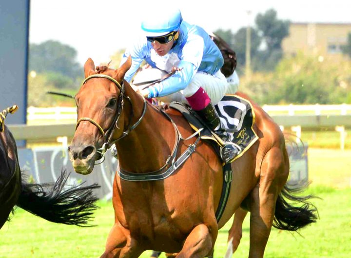 Evening Bell (JC Photographics)