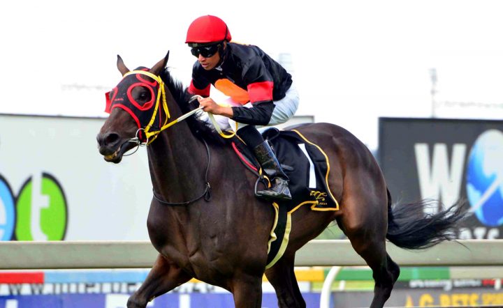 Hit For Six (JC Photographics)