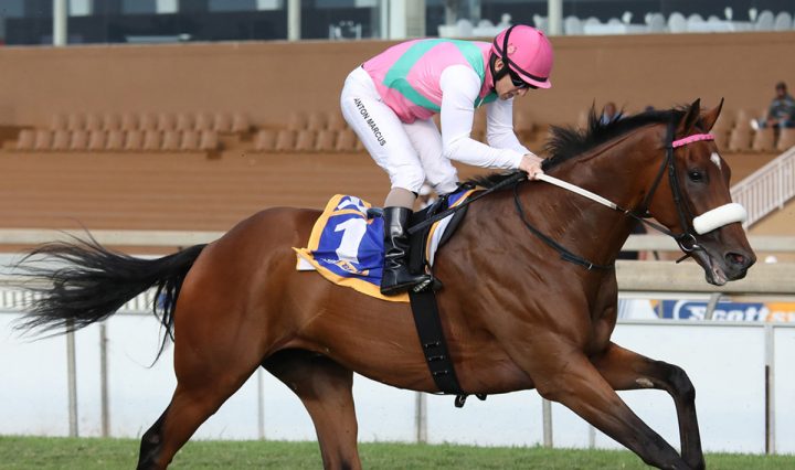 Made To Conquer (Candiese Marnewick)