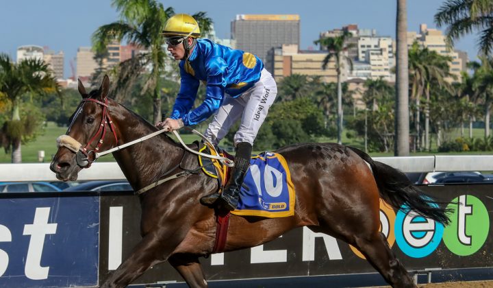 Marsanne (Candiese Marnewick)