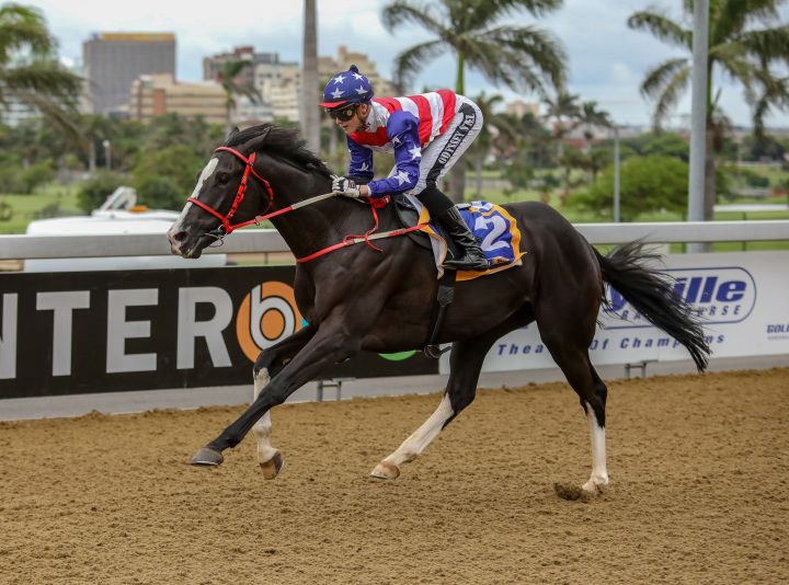 American Indian (Candiese Marnewick)