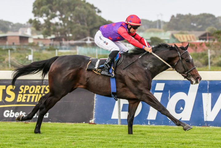 Armando (Liesl King)