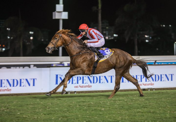 Freedom Charter (Candiese Marnewick)