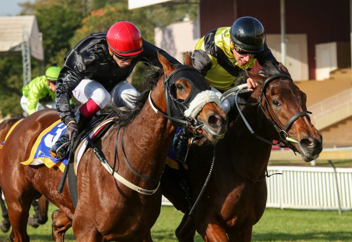 Golden Chance (yellow) Lunar Child (black) - Candiese Marnewick