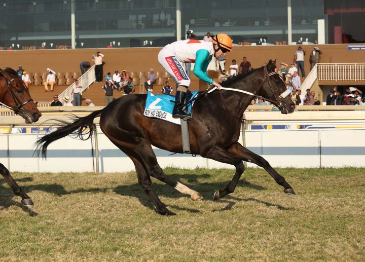 Roy Had Enough (Candiese Marnewick)