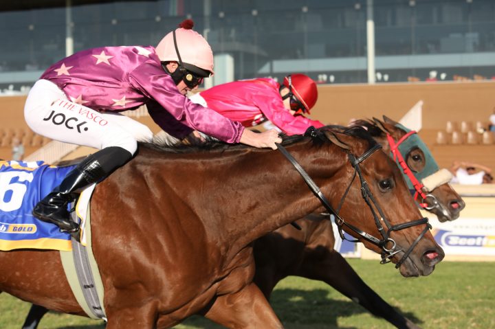 Scarlett Chill (Candiese Marnewick)