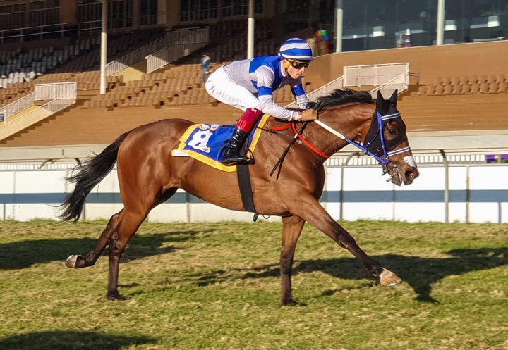 Before Noon (Candiese Marnewick)